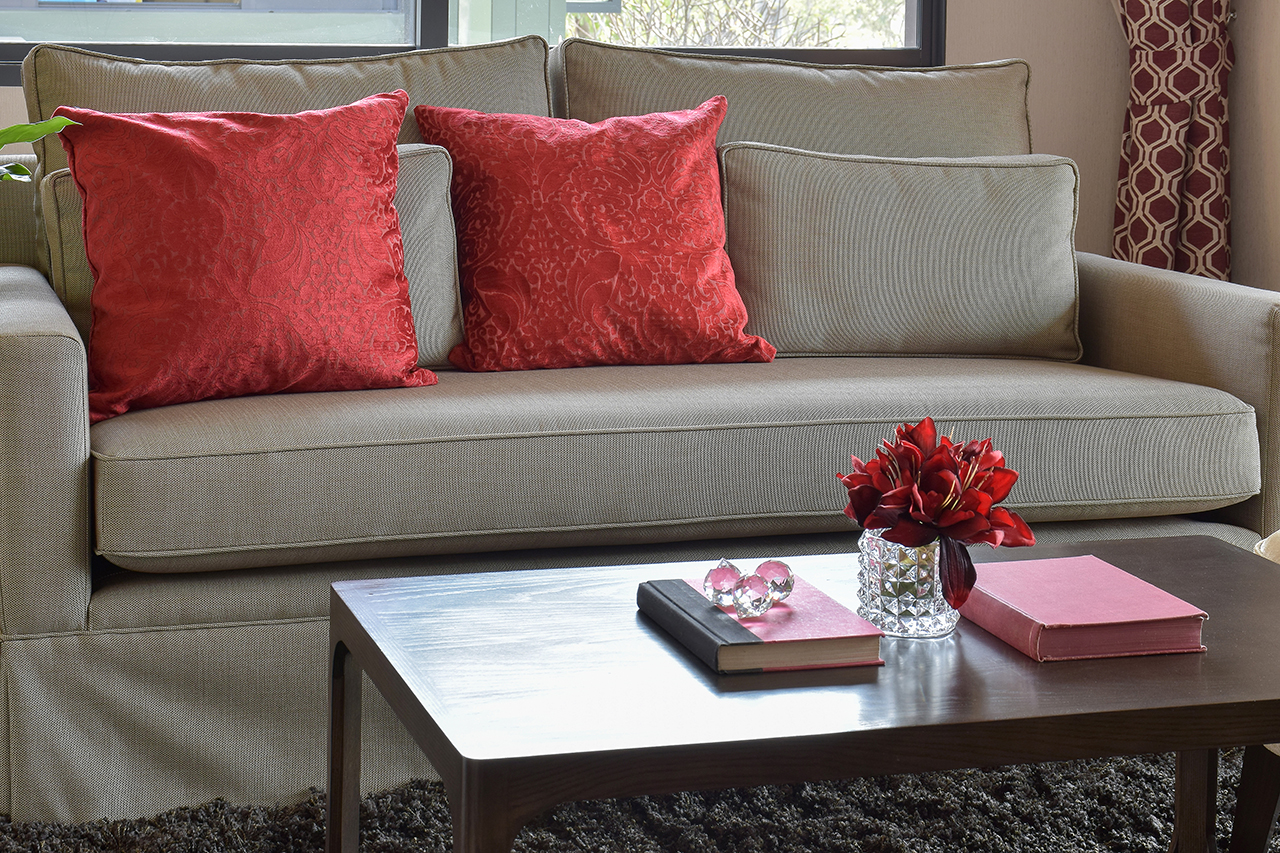 comfortable sofa with red pillows and red book on table